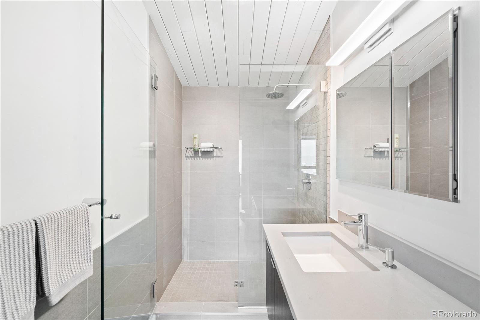 2955 Inca Street, Unit 4A Denver, CO 80202 - Photo 35 of 44 Gallery Image 35