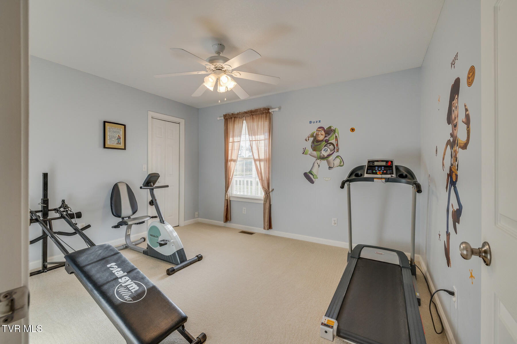 463 Pine Ridge Drive Afton, TN 37616 - Photo 22 of 43 021