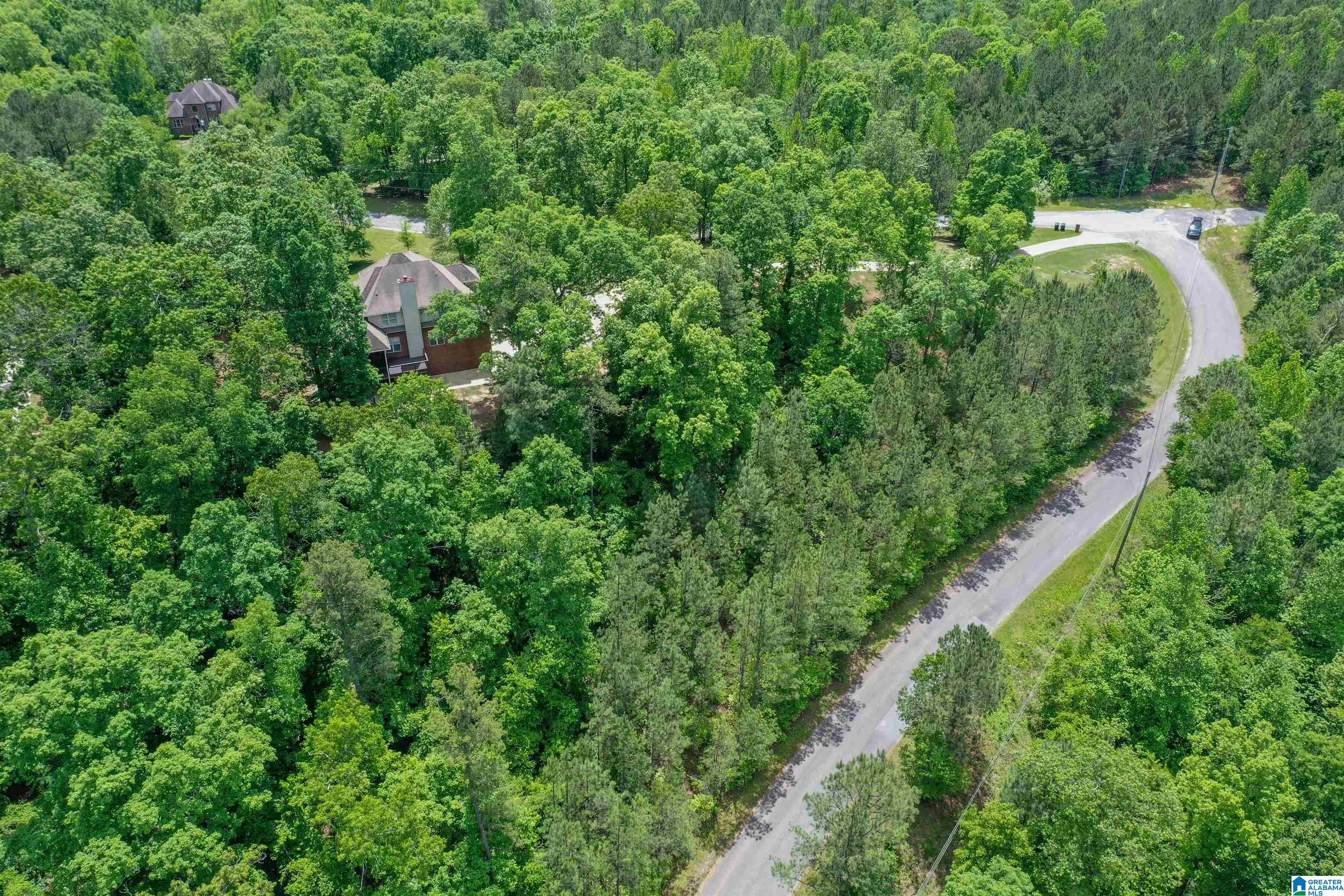 671 Hidden Ridge Chelsea, AL 35043 - Photo 72 of 76