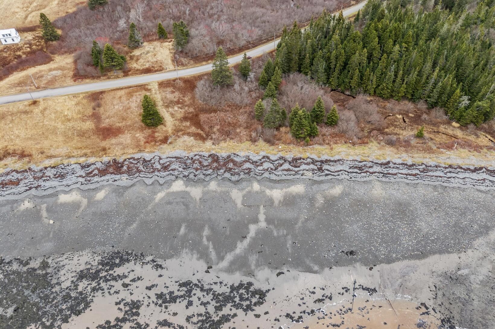 L11 12/14 Boot Cove Road Lubec, ME 04652 - Photo 9 of 14 IMG_0416