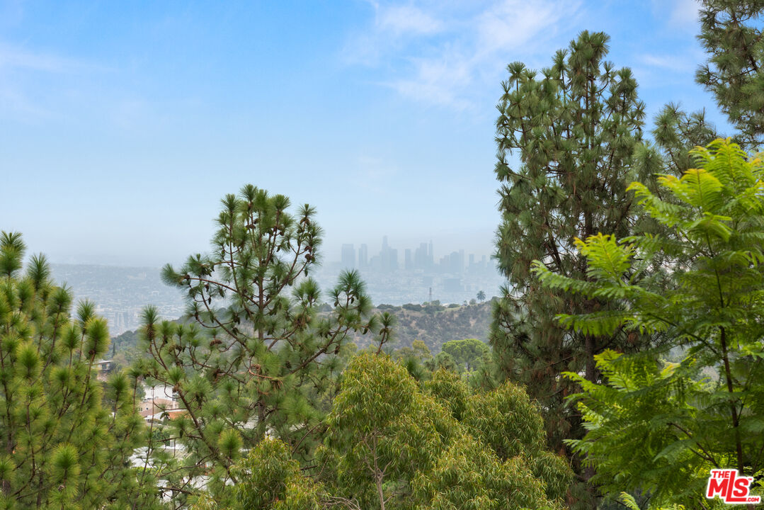 2526 Briarcrest Road Beverly Hills, CA 90210 - Photo 13 of 15 a view of a tree in a garden