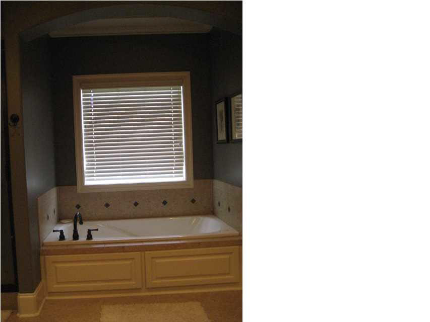 114 Talons Point Madison, MS 39110 - Photo 15 of 29 Photo 15