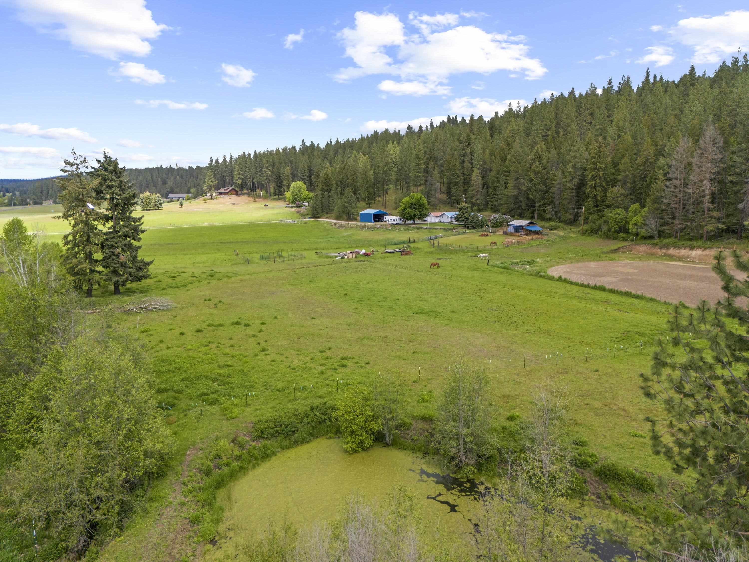 15906 North Forker Road Spokane, WA 99217 - Photo 39 of 48