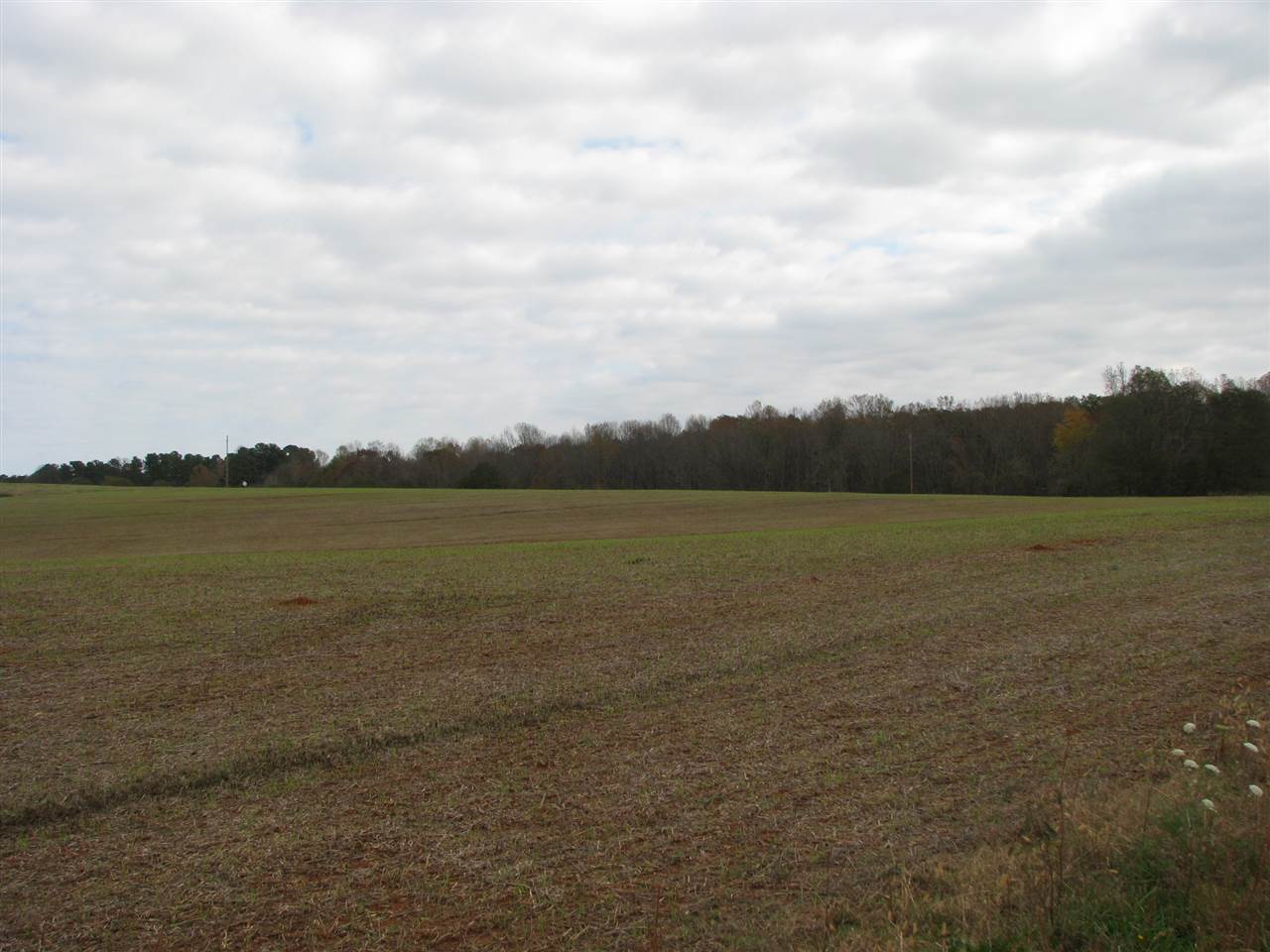 1 Grassy Pond Creek Road Gaffney, SC 29341 - Photo 3 of 6