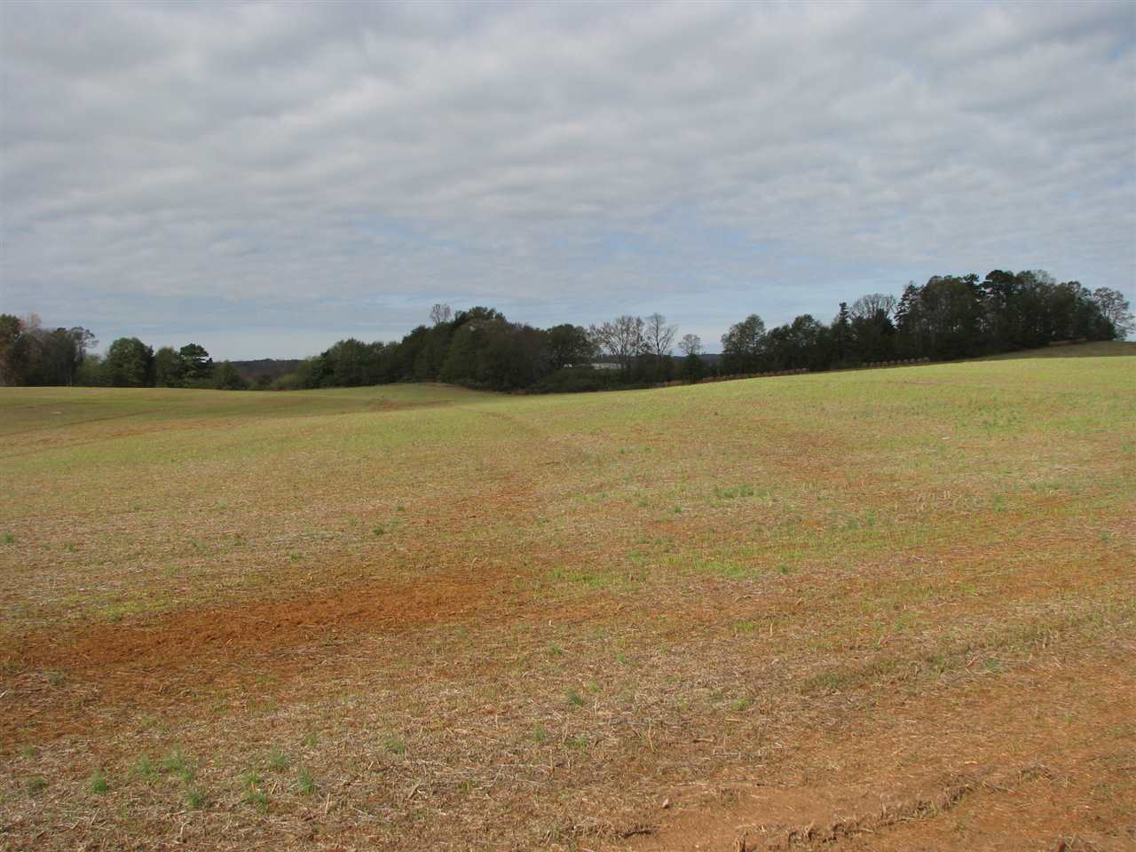 1 Grassy Pond Creek Road Gaffney, SC 29341 - Photo 5 of 6