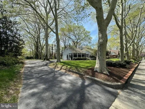 a view of a park with large trees