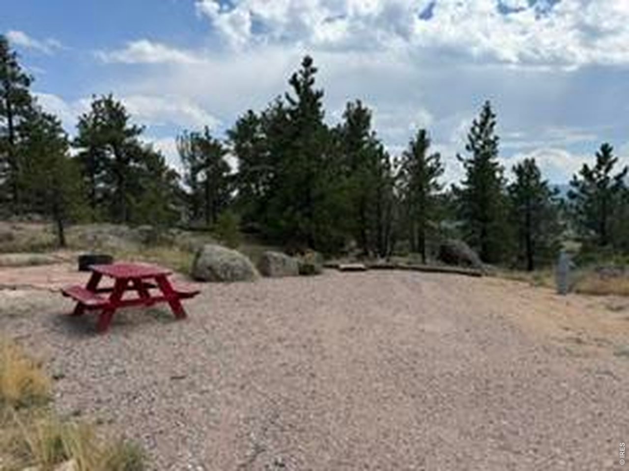 191 Cimarron Road Red Feather Lakes, CO 80545 - Photo 3 of 22 Gallery Image 3