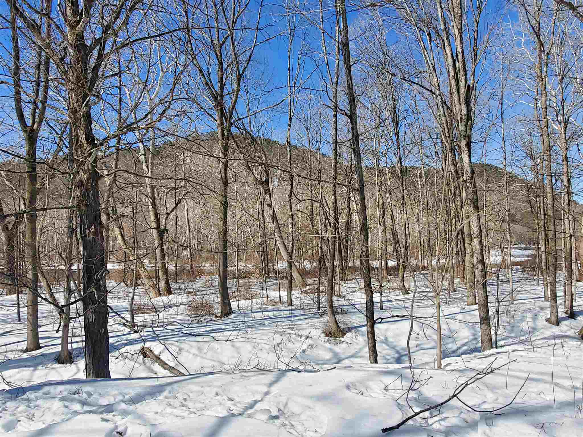 22 Riverdale Road Townshend, VT 05353 - Photo 30 of 39 Gallery Image 30