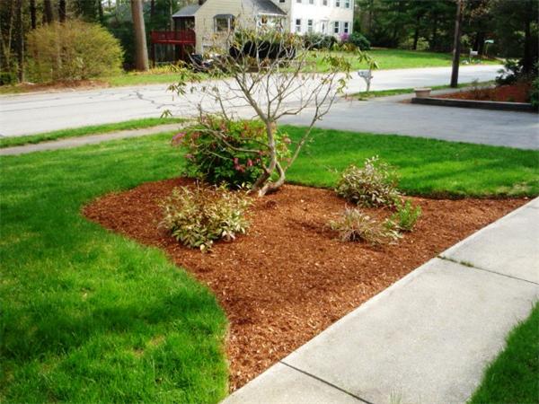 20 Robinwood Road Acton, MA 01720 - Photo 18 of 19 Gallery Image 18