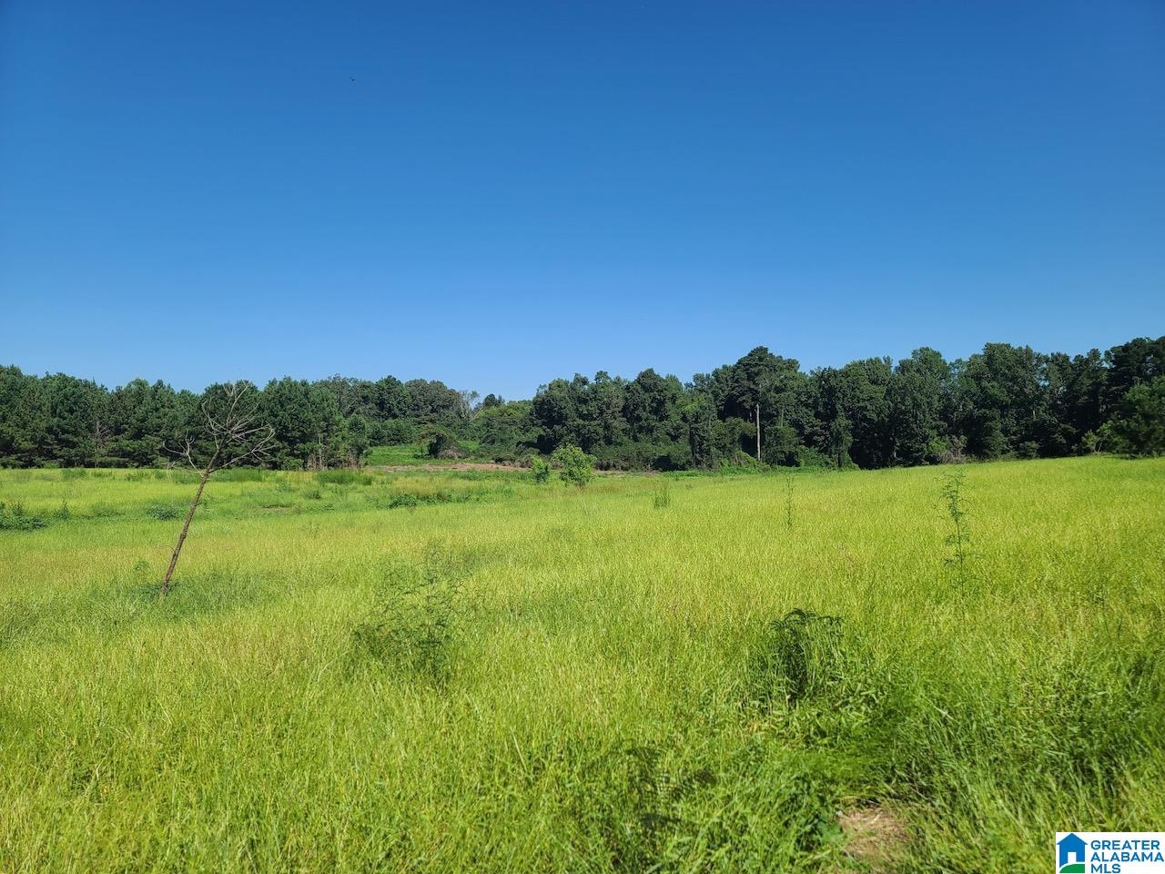 0 Corner School Road Empire, AL 35063 - Photo 1 of 18 Gallery Image 1