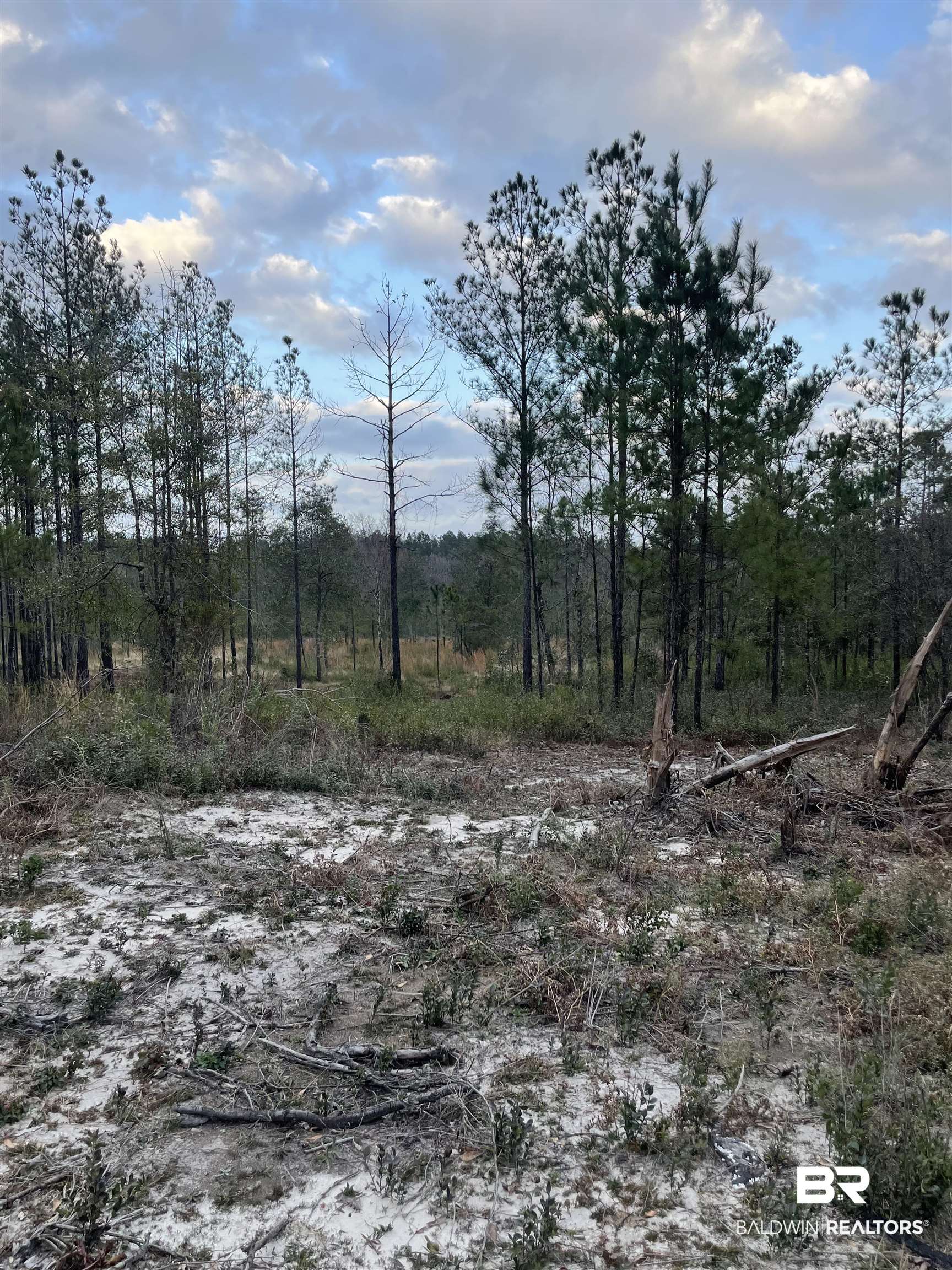 0 Davis Road Bay Minette, AL 36507 - Photo 3 of 3