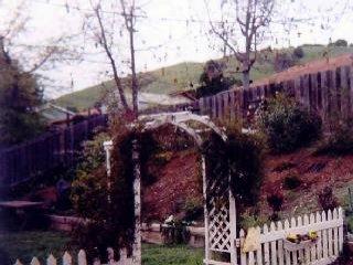 2504 Center Road Novato, CA 94947 - Photo 2 of 2 a view of a yard
