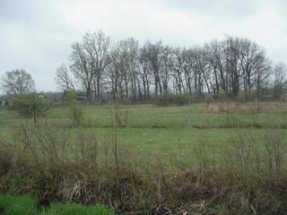 7945 Colf Road Carleton, MI 48117 - Photo 2 of 3 901280-1.JPG
