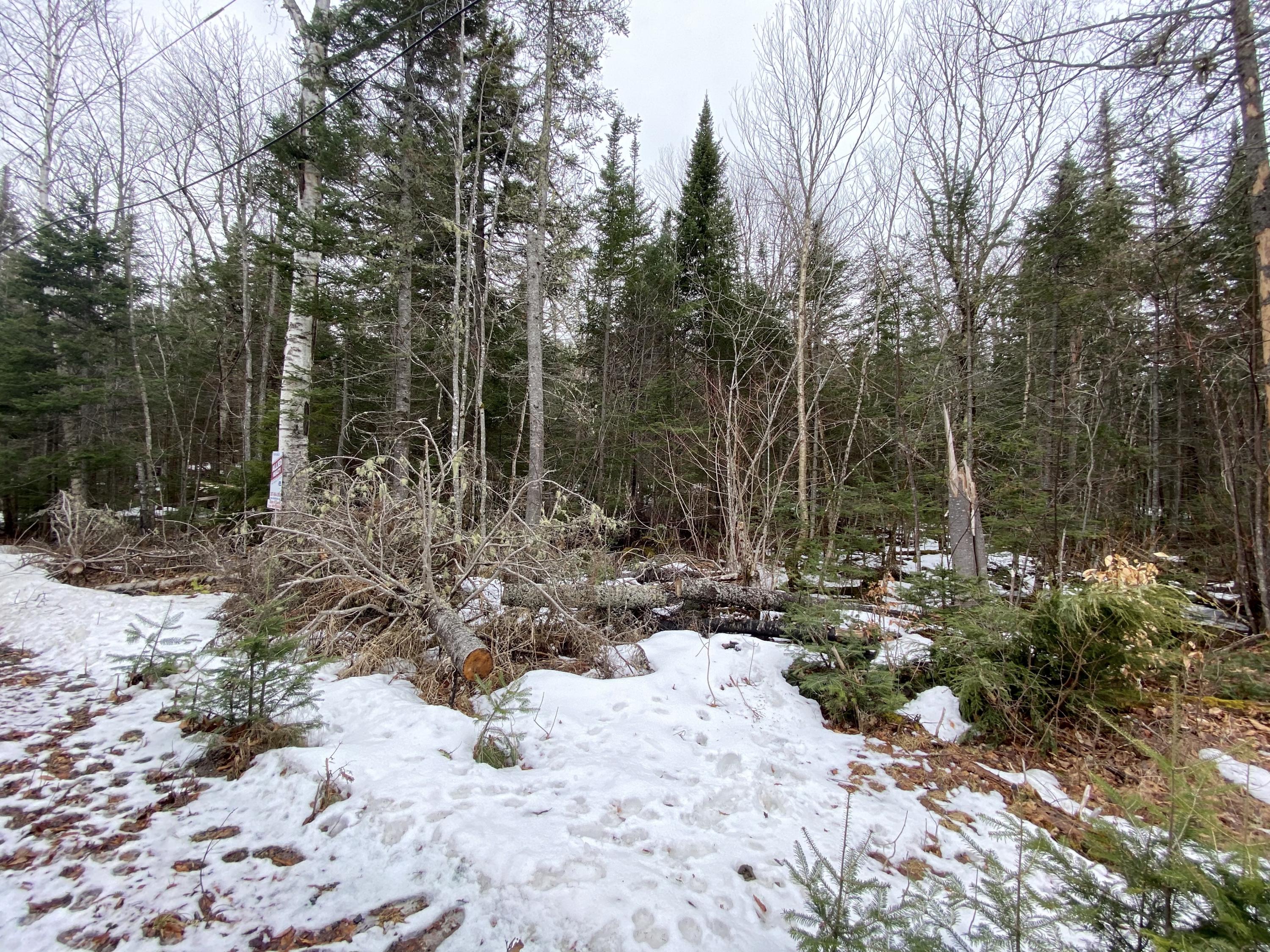 M34-l44.2a M34-l44.2a Curley Road Rangeley, ME 04970 - Photo 6 of 14 curley road lot A.6