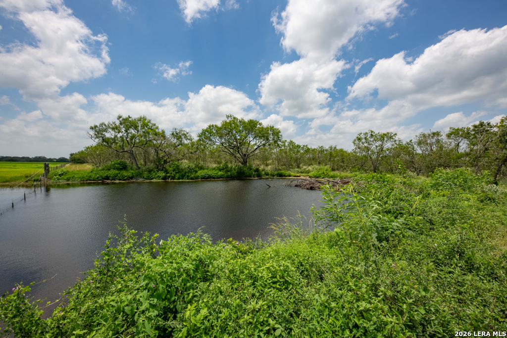 1393 Fox Trotter Road Seguin, TX 78155 - Photo 10 of 46