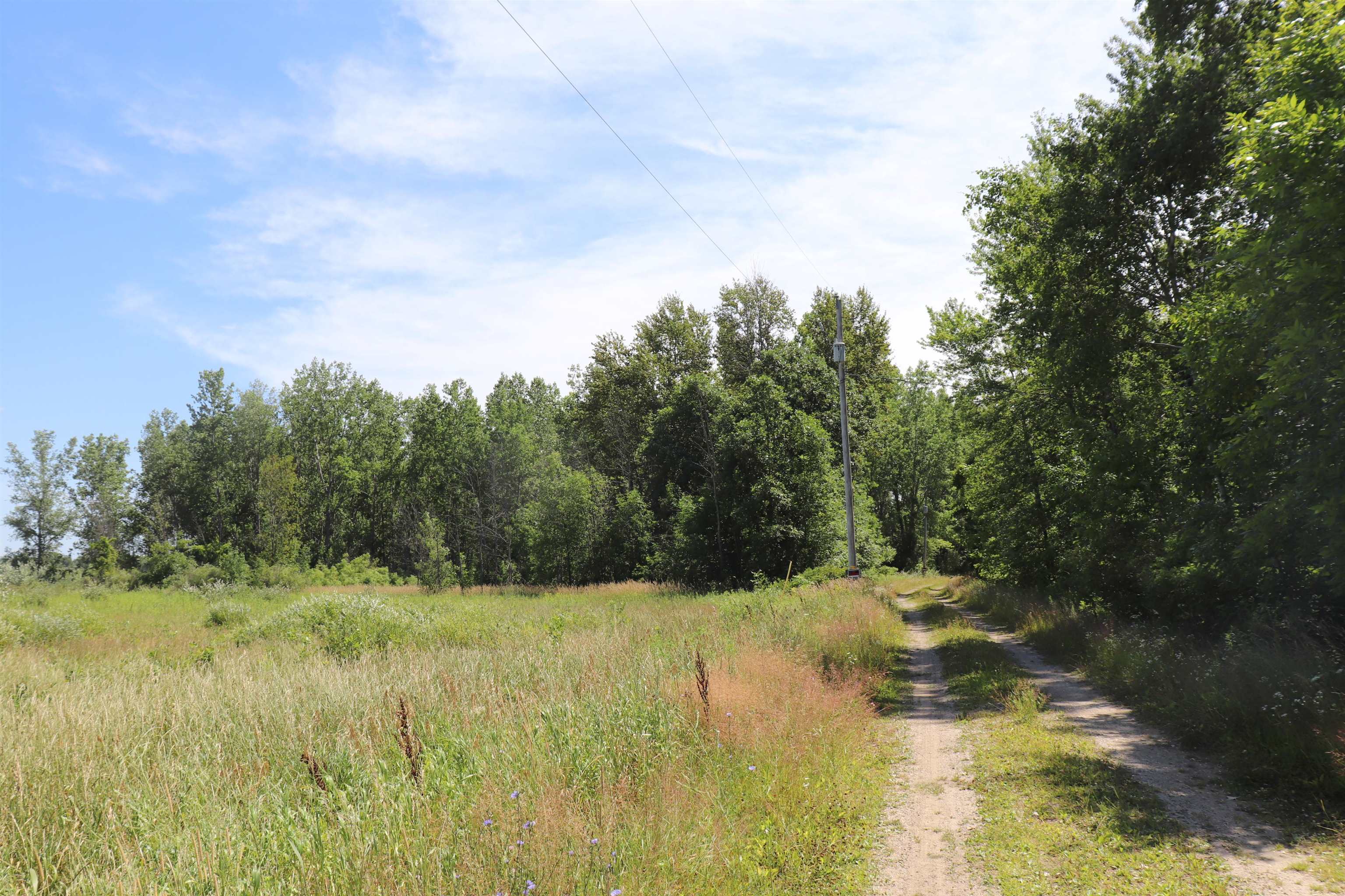 6920 North 11 Mile Road Coleman, MI 48618 - Photo 4 of 8 Gallery Image 4
