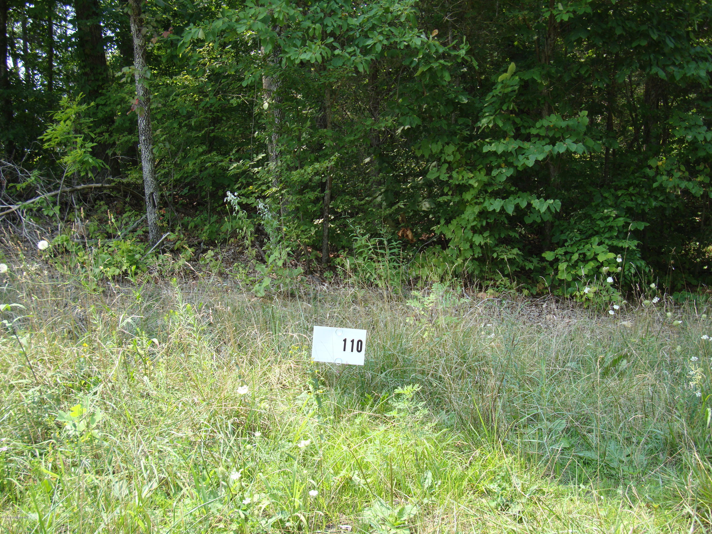lot 110
