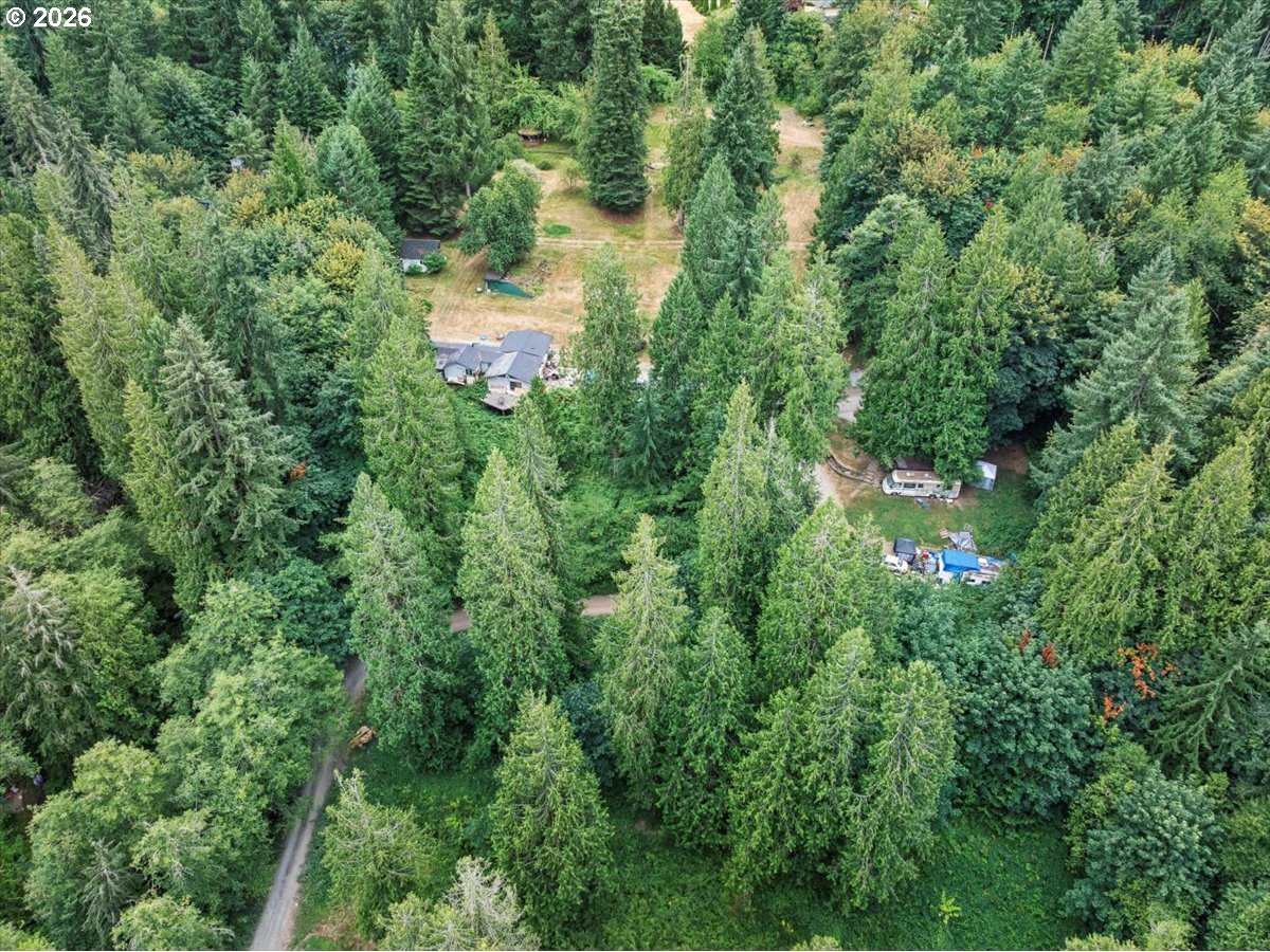 15611 Northeast Doneta Road Brush Prairie, WA 98606 - Photo 5 of 12
