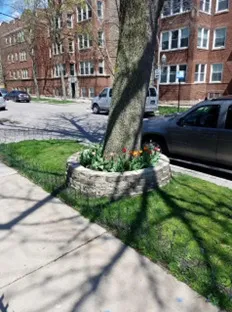 a front view of building with yard