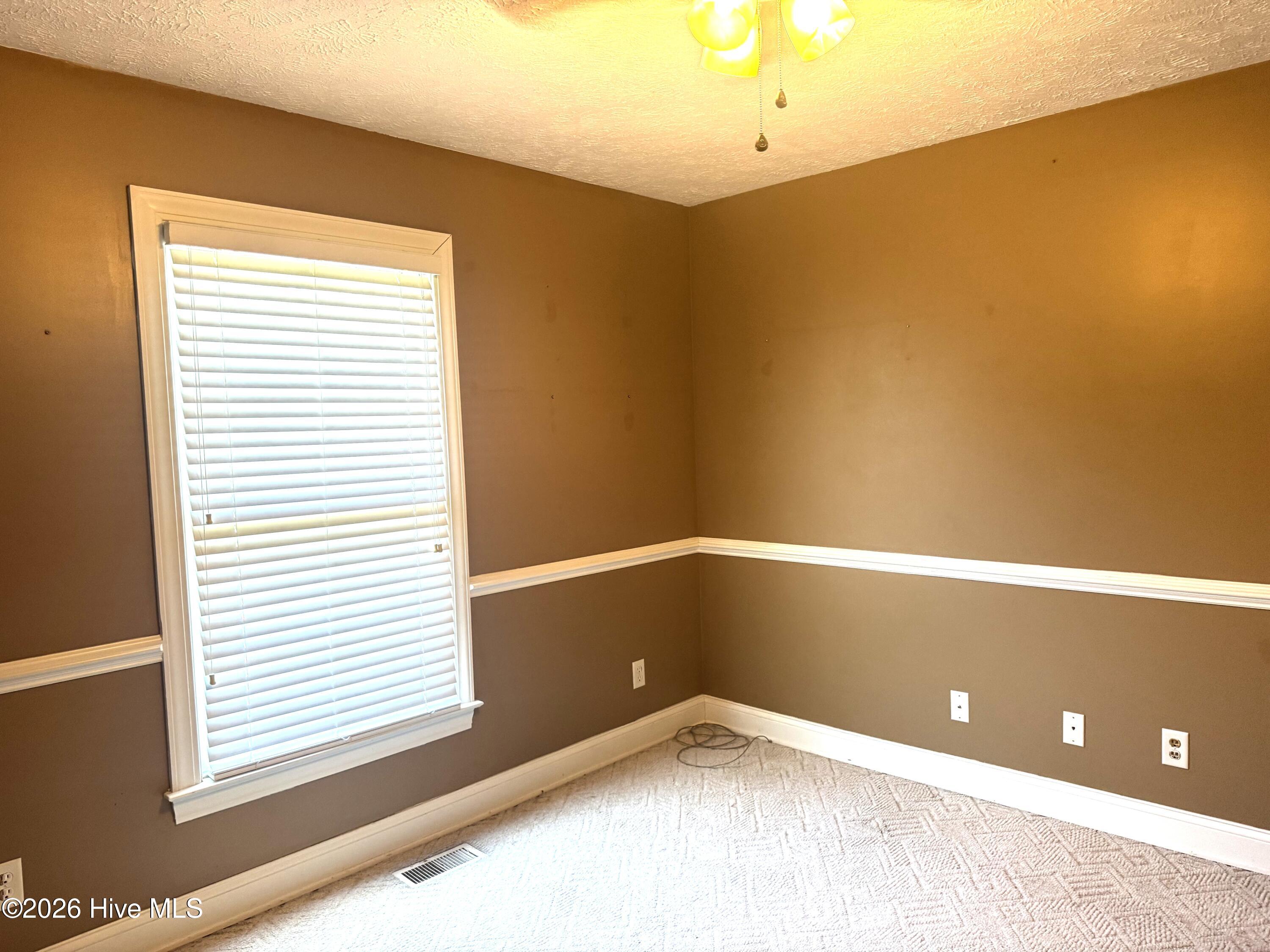 727 Mt Olive Road Bladenboro, NC 28320 - Photo 31 of 52