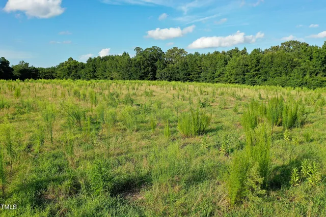 a view of outdoor space and green space
