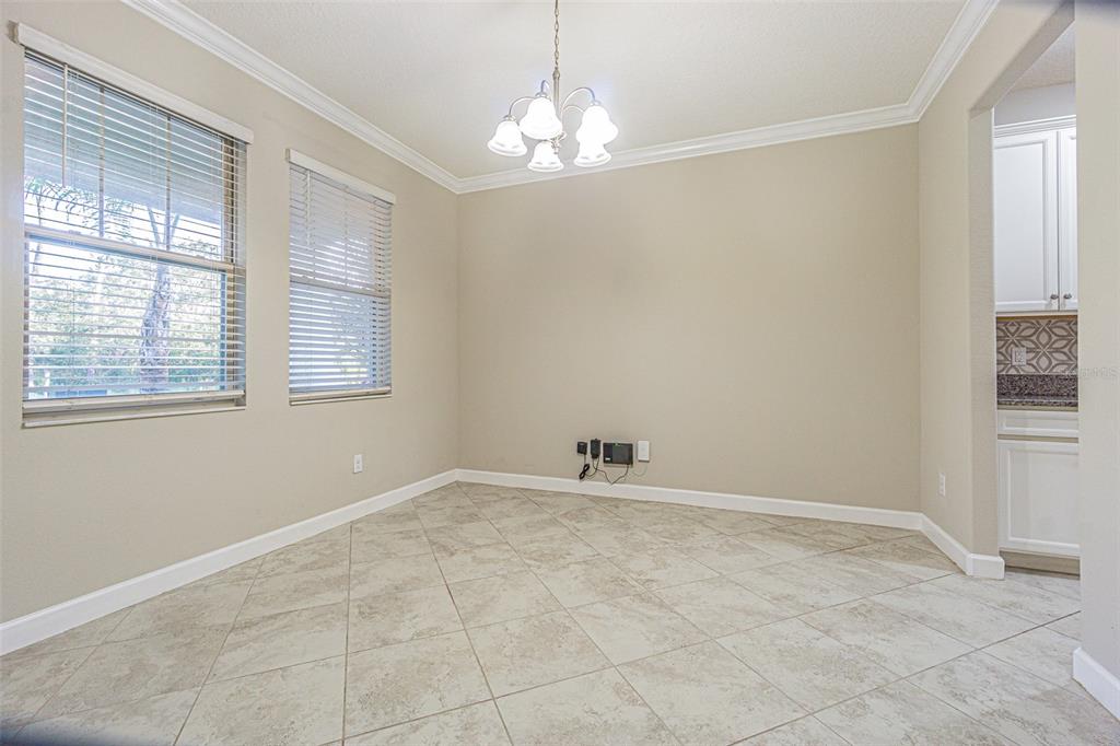 6244 English Hollow Road Tampa, FL 33647 - Photo 13 of 49