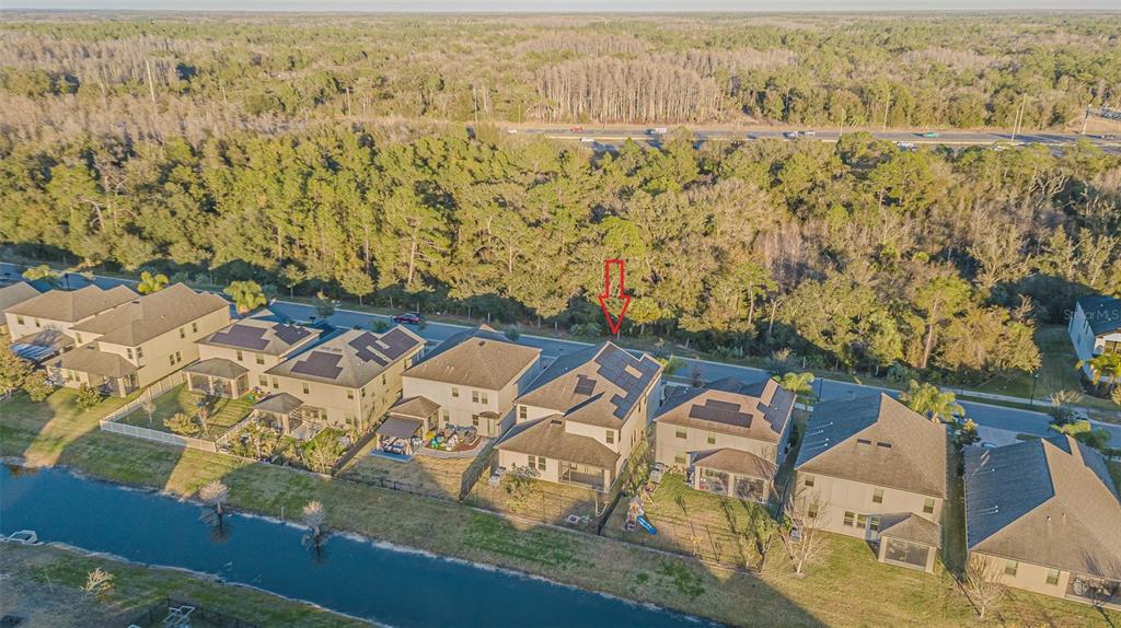 6244 English Hollow Road Tampa, FL 33647 - Photo 7 of 49