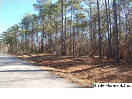 Lot 67 Laurel Way, Unit 67 Wedowee, AL 36278 - Photo 5 of 10