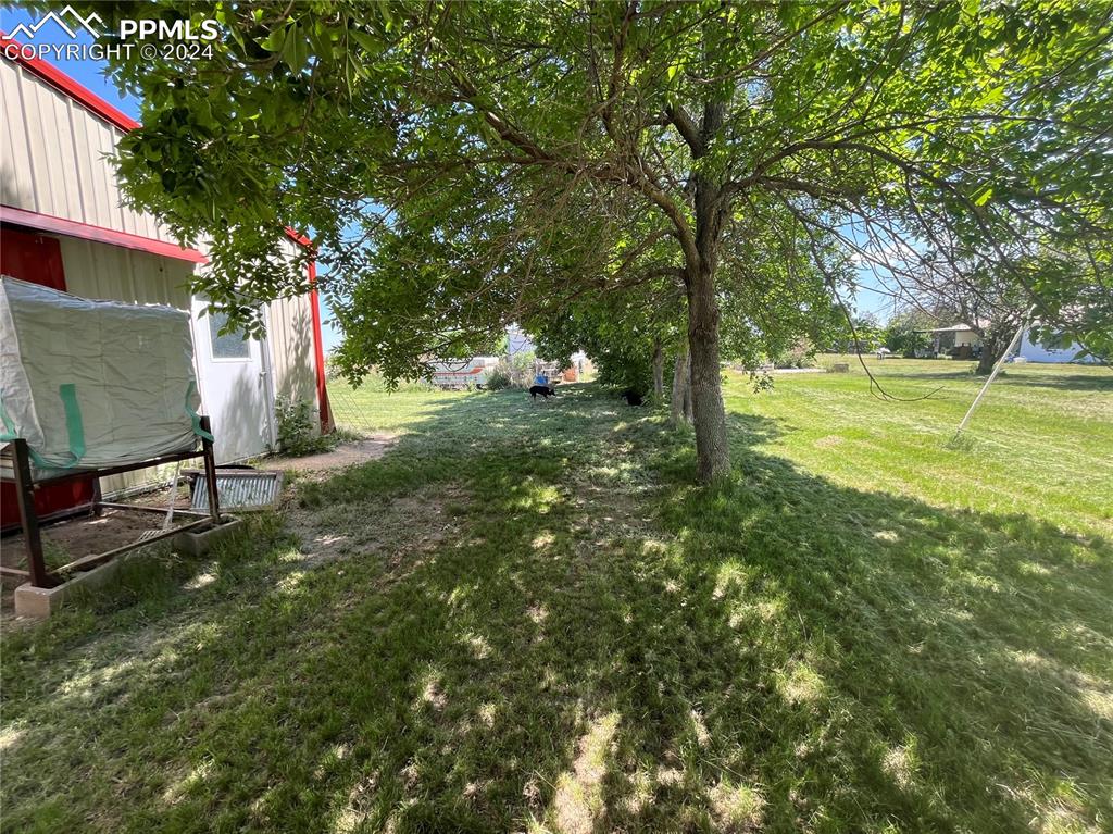 5576 County Rd G Joes, CO 80822 - Photo 14 of 30 a view of a park with large trees