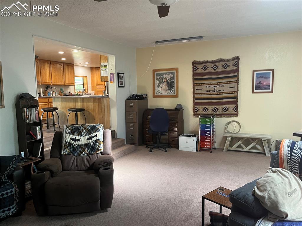 5576 County Rd G Joes, CO 80822 - Photo 6 of 30 Carpeted living room with ceiling fan
