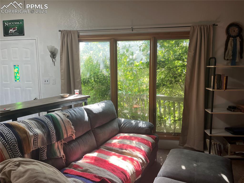 5576 County Rd G Joes, CO 80822 - Photo 8 of 30 a living room with furniture and a window