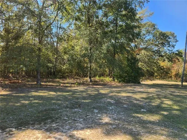 a view of a yard with a large tree