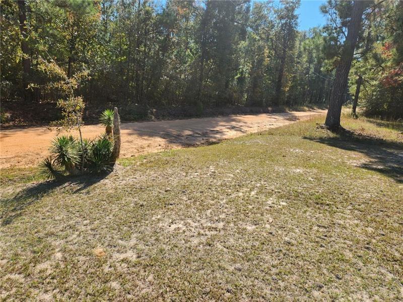 184 Young Road Milledgeville, GA 31061 - Photo 17 of 27 a view of a yard with trees