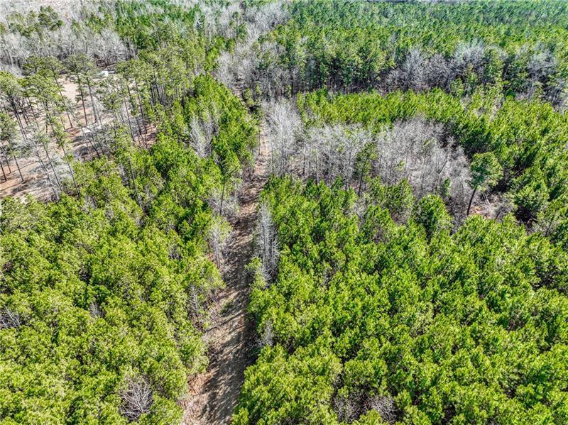 184 Young Road Milledgeville, GA 31061 - Photo 19 of 27 a backyard of a house with lots of green space