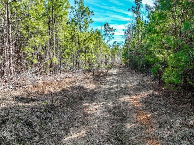 184 Young Road Milledgeville, GA 31061 - Photo 20 of 27 a view of a forest with trees in the background