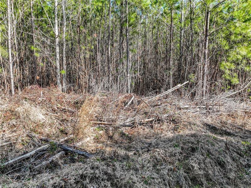 184 Young Road Milledgeville, GA 31061 - Photo 21 of 27 a view of a dry yard with trees all around