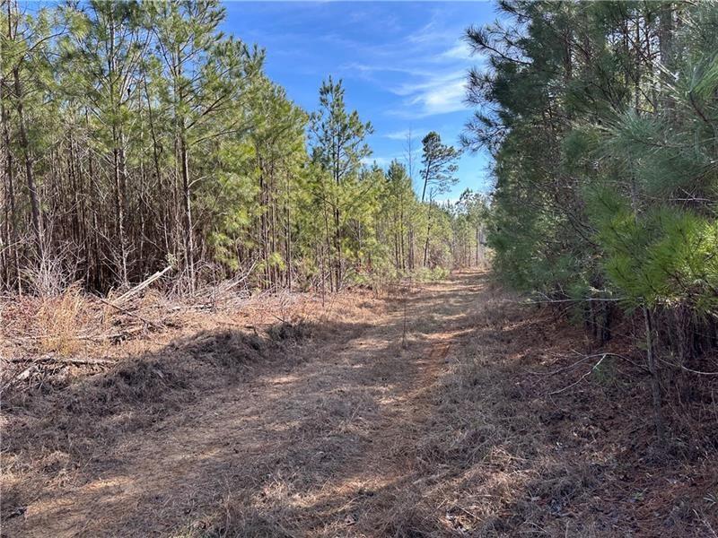 184 Young Road Milledgeville, GA 31061 - Photo 22 of 27 a view of backyard with green space