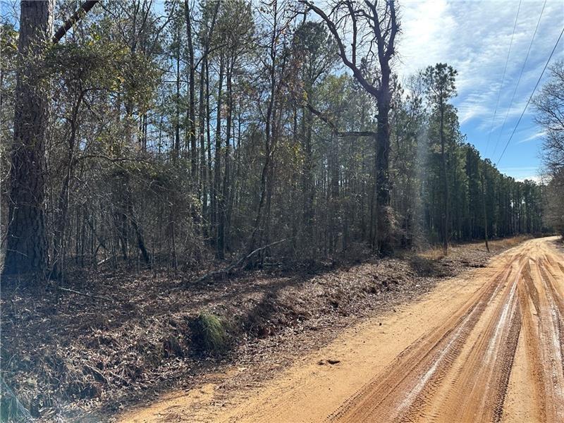184 Young Road Milledgeville, GA 31061 - Photo 27 of 27