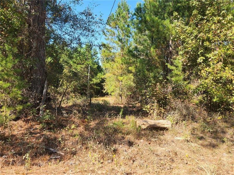 184 Young Road Milledgeville, GA 31061 - Photo 6 of 27 a view of a yard with plants and trees