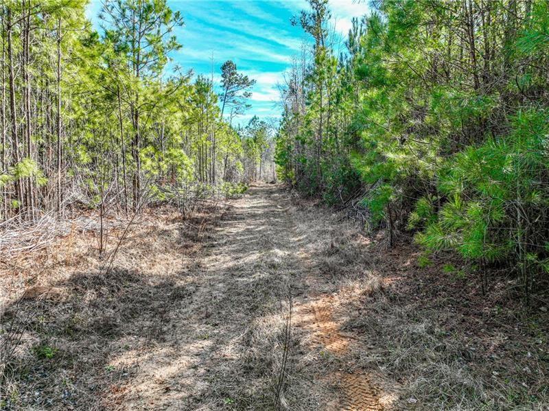 184 Young Road Milledgeville, GA 31061 - Photo 7 of 27 a view of a forest with trees in the background