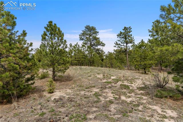 7165 McShane Road Colorado Springs, CO 80908 - Photo 2 of 13 Gallery Image 2