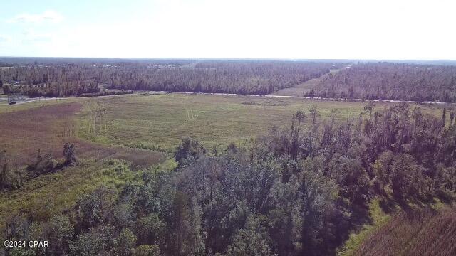 0 North Sr 71 Altha, FL 32421 - Photo 11 of 11