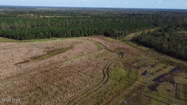 0 North Sr 71 Altha, FL 32421 - Photo 3 of 11