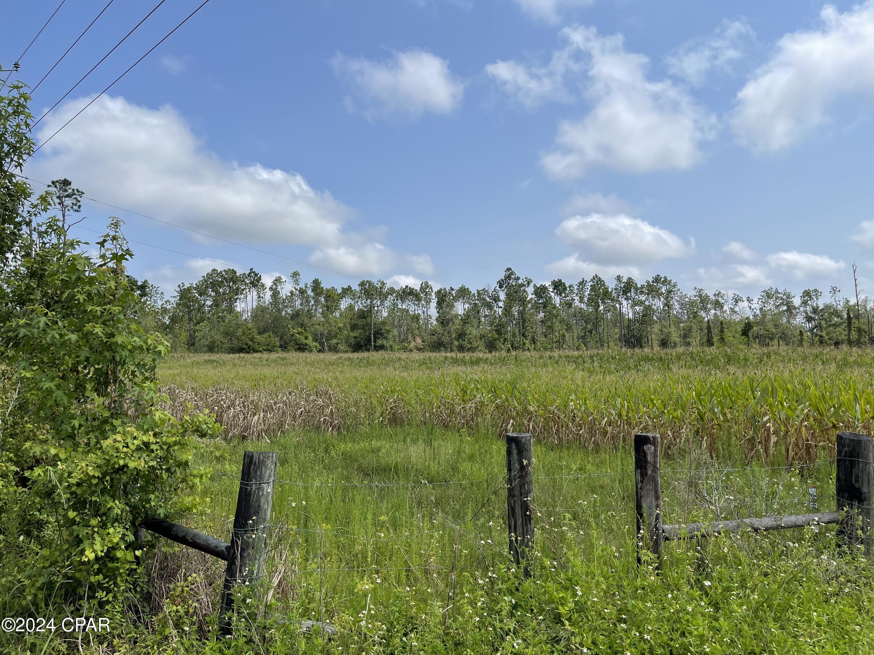 0 North Sr 71 Altha, FL 32421 - Photo 4 of 11
