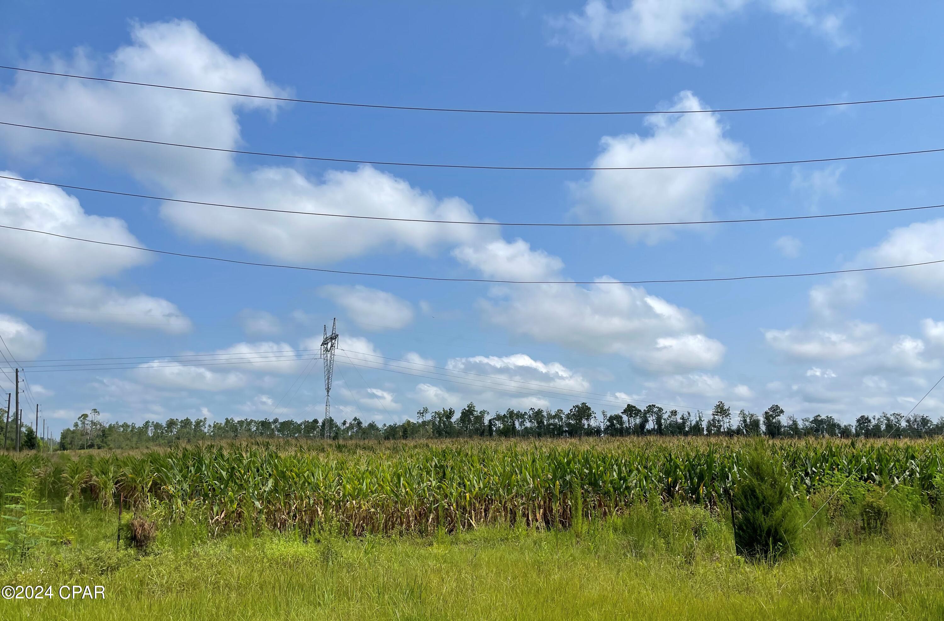 0 North Sr 71 Altha, FL 32421 - Photo 5 of 11