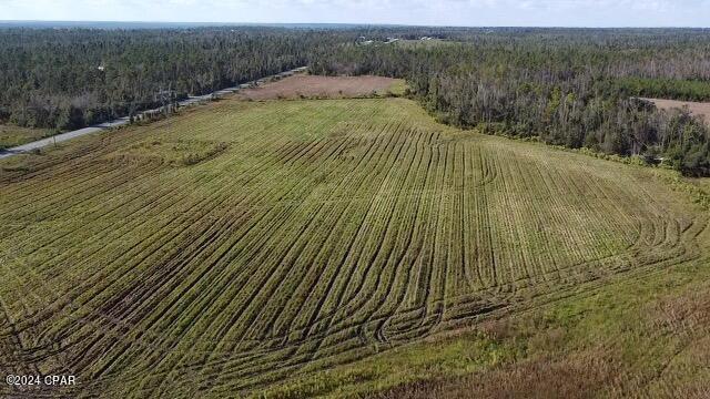 0 North Sr 71 Altha, FL 32421 - Photo 6 of 11