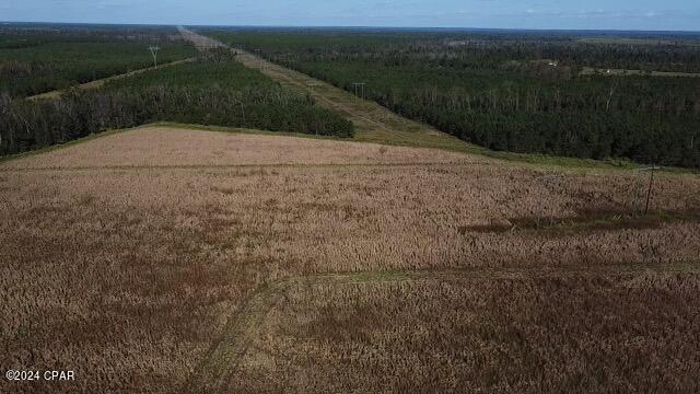 0 North Sr 71 Altha, FL 32421 - Photo 7 of 11