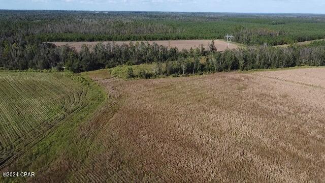 0 North Sr 71 Altha, FL 32421 - Photo 8 of 11