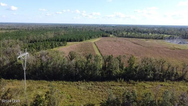 0 North Sr 71 Altha, FL 32421 - Photo 9 of 11