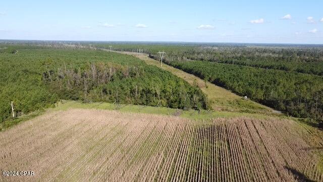 0 North Sr 71 Altha, FL 32421 - Photo 10 of 11